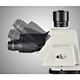 Motorized Research Upright Metallurgical Microscope