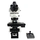 Motorized Research Upright Metallurgical Microscope